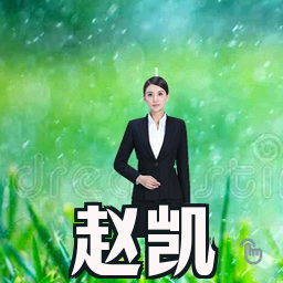 赵凯